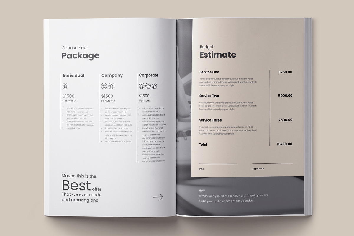 Business Proposal Template, Canva, a Brochure Template by DesVert (Photo 7 of 10)