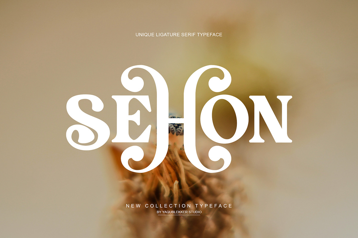 SEHON LIGATURE SERIF TYPEFRACE, a Serif Font by yaqublekker (Photo 1 of 10)