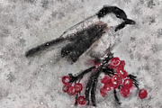 Procreate Niveus Winter Artistry, a Brush Add-On by Brush Moment (Thumbnail 6 of 13)
