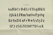 Wonder Astrella Modern Display Serif, a Serif Font by gracetype_studio (Thumbnail 10 of 12)