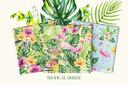 Tropical Breeze Clipart & Patterns, a Seasonal Illustration by SashaKondr (Thumbnail 7 of 13)