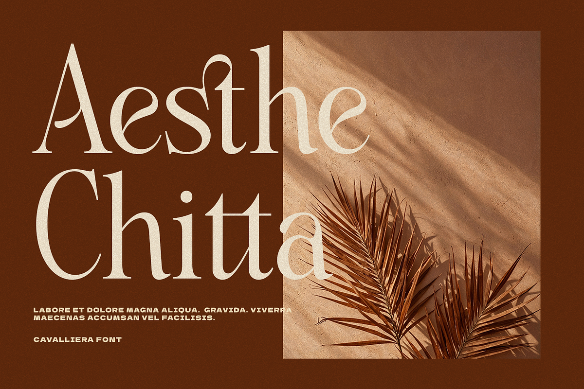 Cavalliera - Graceful Serif Typeface, a Serif Font by Dikas Studio (Photo 4 of 10)