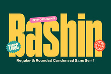TNSC Bashin - Condensed Sans Serif