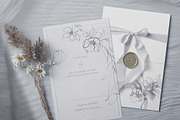 Botanical Line Art Collection, an Object Illustration by Colden Blue (Thumbnail 7 of 10)