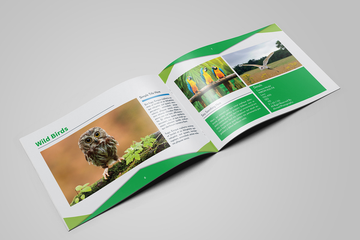 Wild Animals, a Magazine Template by Graphic_Art (Photo 4 of 4)