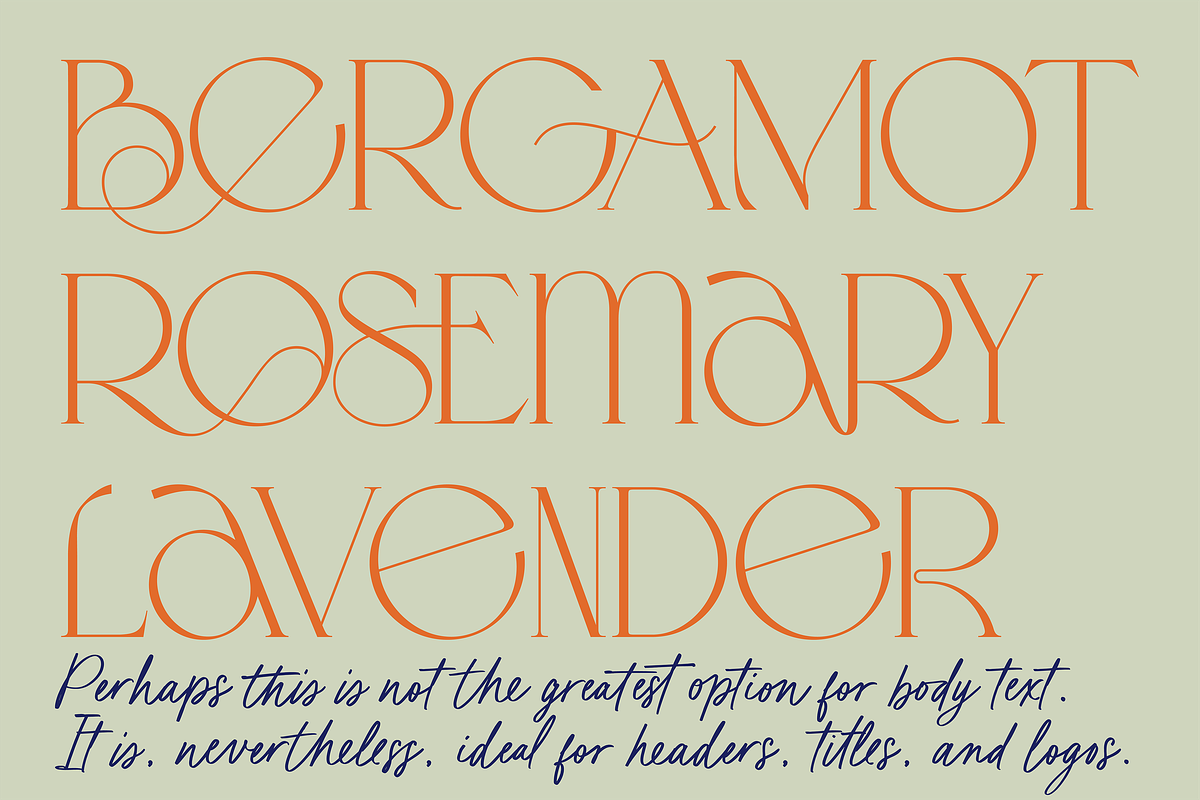 Karme // Modern Font Duo, a Serif Font by PeachCreme (Photo 9 of 13)