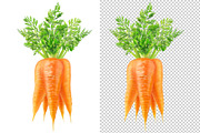Bunch of carrots, an Object Graphic by Fruits+Veggies (Thumbnail 2 of 4)