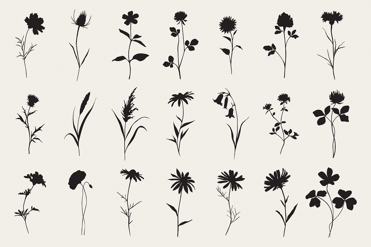 Botanical Flower Silhouettes Set, an Object Illustration by NatalieArtShop (Photo 6 of 12)