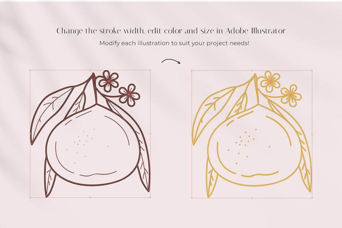 Orchard logo elements and templates, a Graphic by Vasylyka (Photo 11 of 11)
