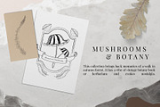 Hand Drawn Vector Vintage Mushrooms, a Decorative Illustration by foxsong (Thumbnail 2 of 12)