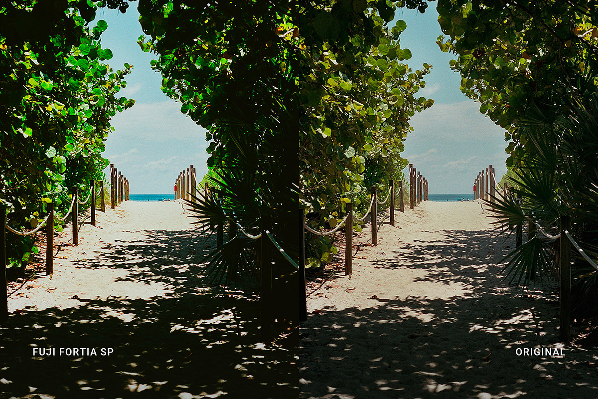Fuji Fortia SP, a Preset Add-On by colorituals (Photo 8 of 8)