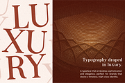 Zoris - Elegant Display Typeface, a Serif Font by MaikoHatta (Thumbnail 9 of 9)