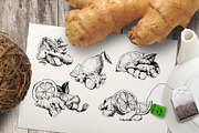 Ginger & lemon. Ink engraving set, a Food Illustration by Alena Kaz (Thumbnail 2 of 7)