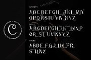 Shutter Photography, a Serif Font by Letterara (Thumbnail 10 of 12)