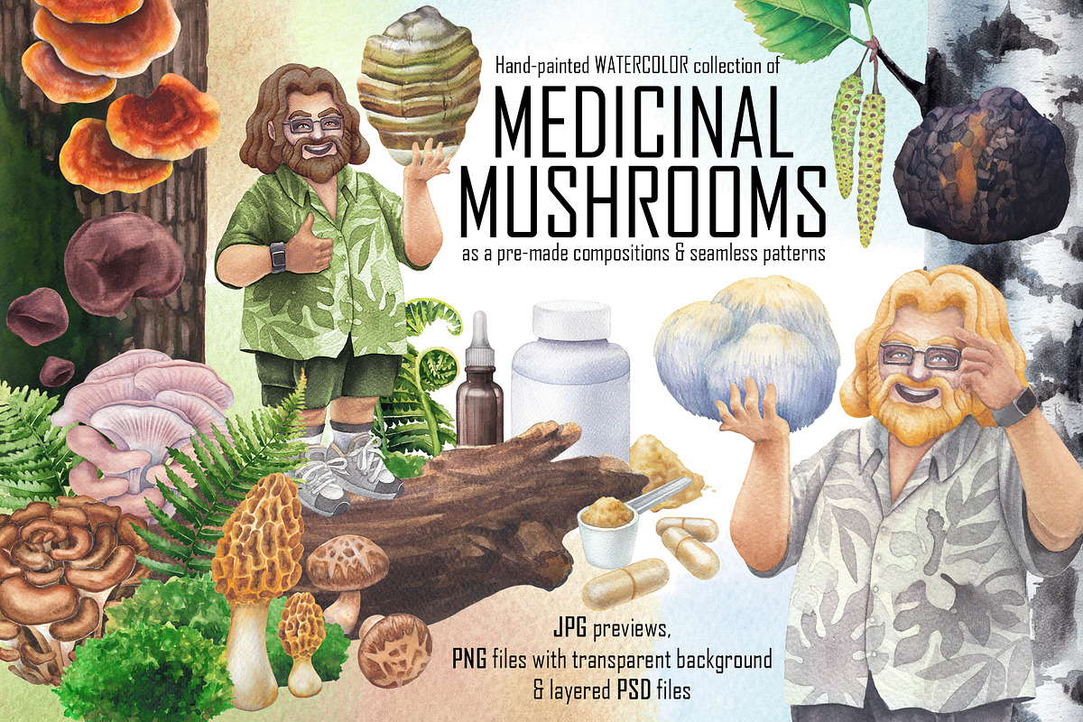 Watercolor Medicinal Mushrooms, a Healthcare Illustration by Ekaterina Glazkova (Photo 1 of 9)