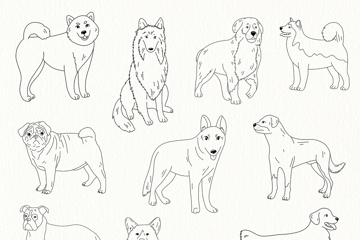 Dogs breed clipart illustrations., an Animal Illustration by svetodesign (Photo 3 of 8)