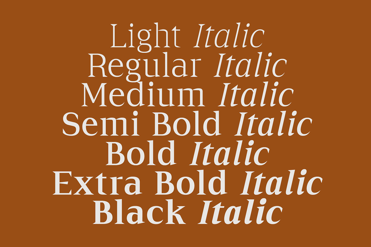 Cirvia Timeless & Fresh Serif Family, a Serif Font by Lettertype Studio (Photo 3 of 15)