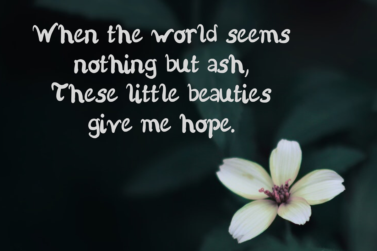 Bokito Handwritten Script Font preview 3