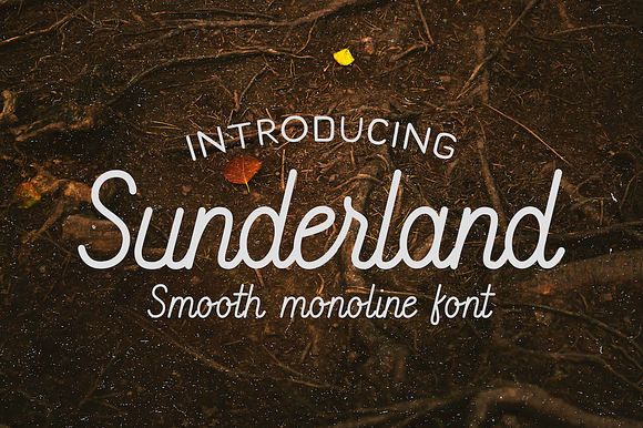 Sunderland - Smooth script font preview 7