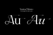 Ceciliany Serif Font Family, a Serif Font by Ryul Davidson (Thumbnail 3 of 25)