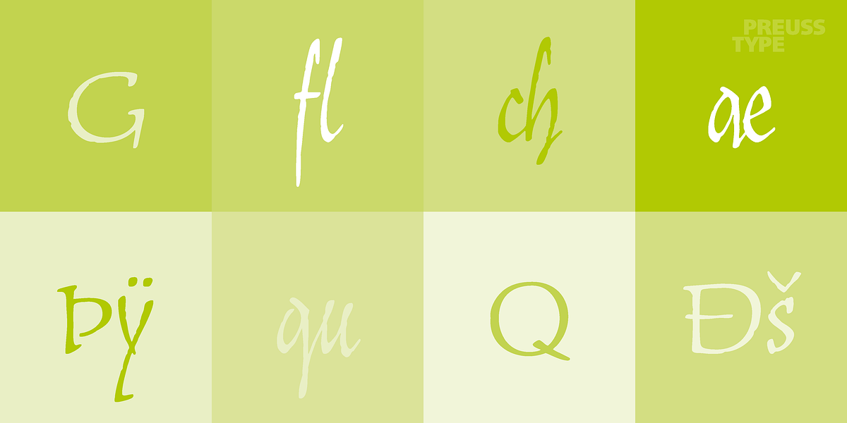 Floridana, a Script Font by preussTYPE (Photo 8 of 8)