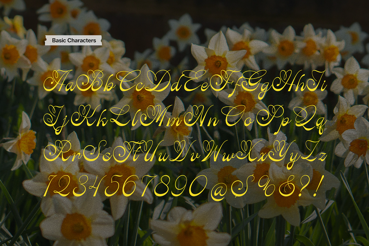 Rastiya Daffodil Handwritten Script, a Script Font by gracetype_studio (Photo 9 of 11)