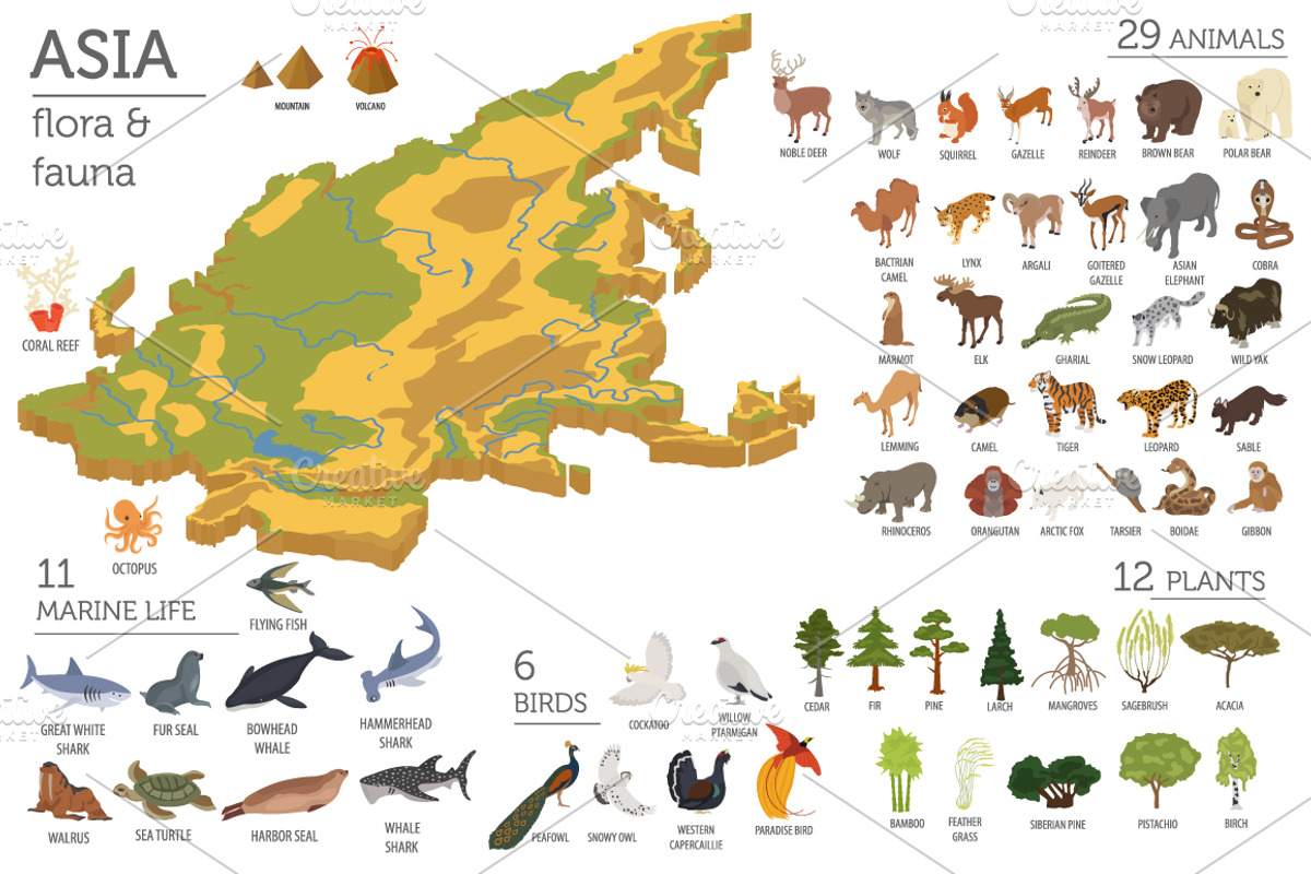 Asia isometric flora & fauna map, an Animal Illustration by pet design shop (Photo 2 of 5)