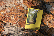Flyer/Postcard Tropical Mockups, a Print Template by Dikarte.Store (Thumbnail 10 of 14)