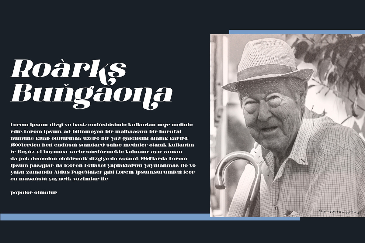 ANTONIA - The Classino Serif, a Serif Font by Khoir (Photo 9 of 17)