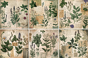 Rustic Botanical Herbs Junk Journal, a Background Graphic by Printable Treasure (Thumbnail 2 of 2)