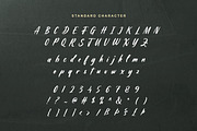 Natalie Smith - Bold Script, a Handwritten Font by Bale Type (Thumbnail 10 of 10)