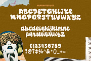 Chicoe Typeface, a Script Font by Get Studio (Thumbnail 14 of 14)