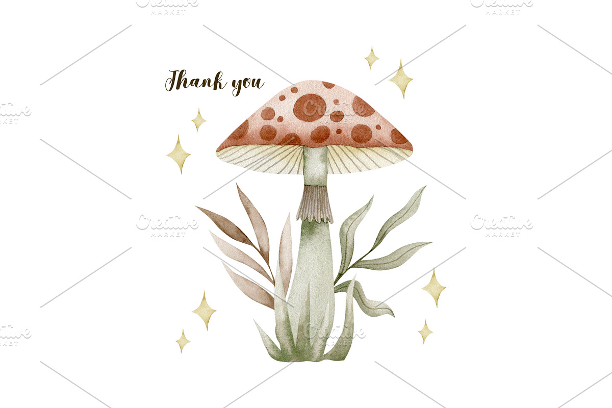 Watercolor mushrooms collection., a Decorative Illustration by Kira Konoshenko (Photo 12 of 12)