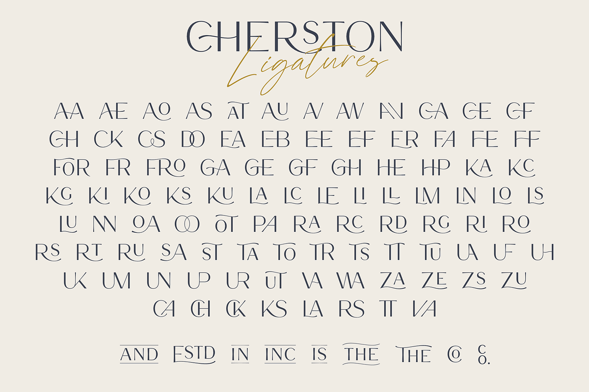 Cherston, a Sans Serif Font by Larin Type Co. (Photo 14 of 15)