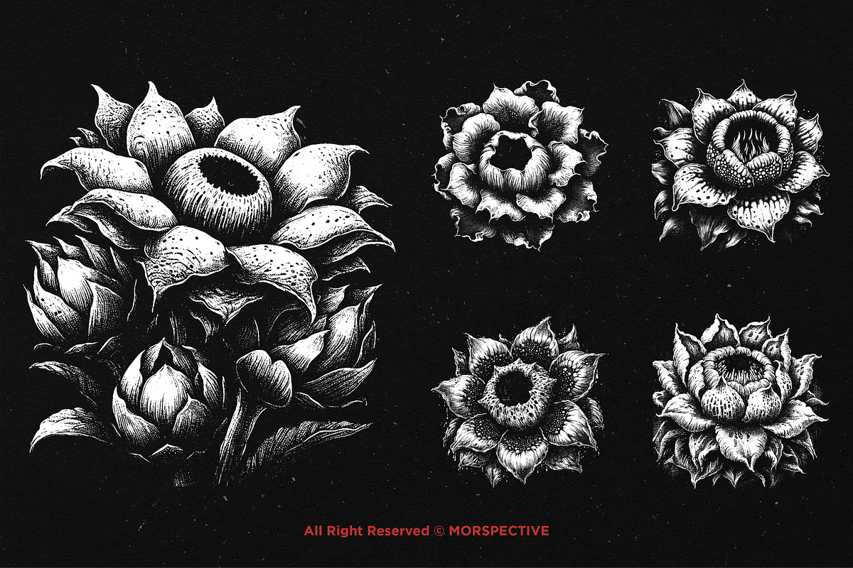 10 Bundle Dark Art Rafflesia Flower, an Illustration by Morspective (Photo 5 of 7)