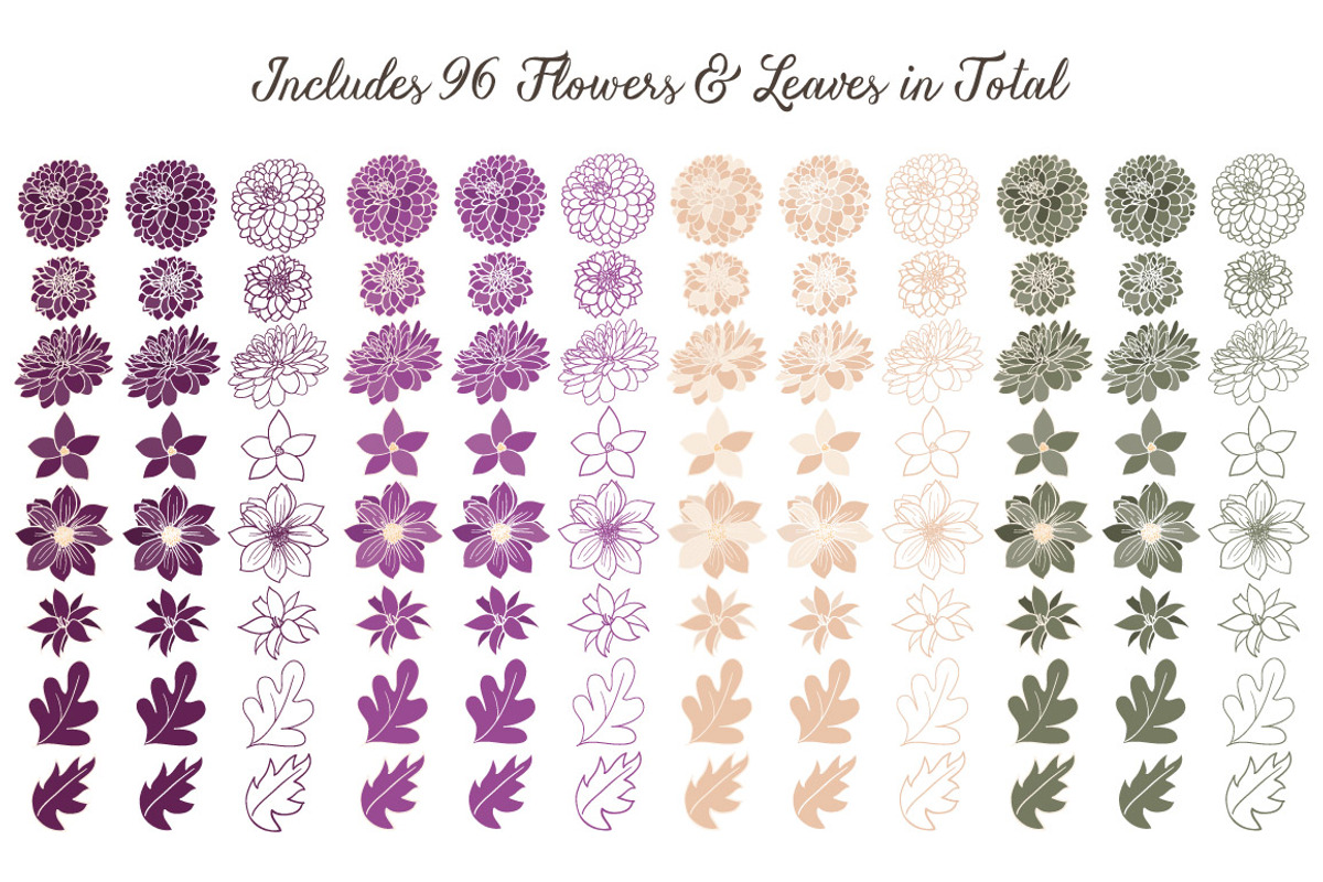 Plum Purple Dahlia Flowers, an Illustration by Amanda Ilkov (Photo 4 of 4)