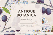 Vintage Flowers Vol.02 - Extra Large, an Illustration by Greta Ivy (Thumbnail 1 of 16)