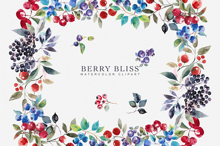 watercolor berries clipart set, a Decorative Illustration by Patishop Art