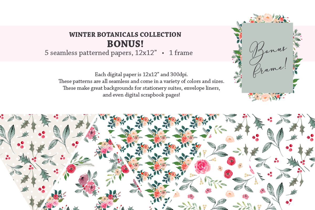 Winter Botanicals Clipart, an Illustration by Emerald & Ivy Studios (Photo 8 of 9)