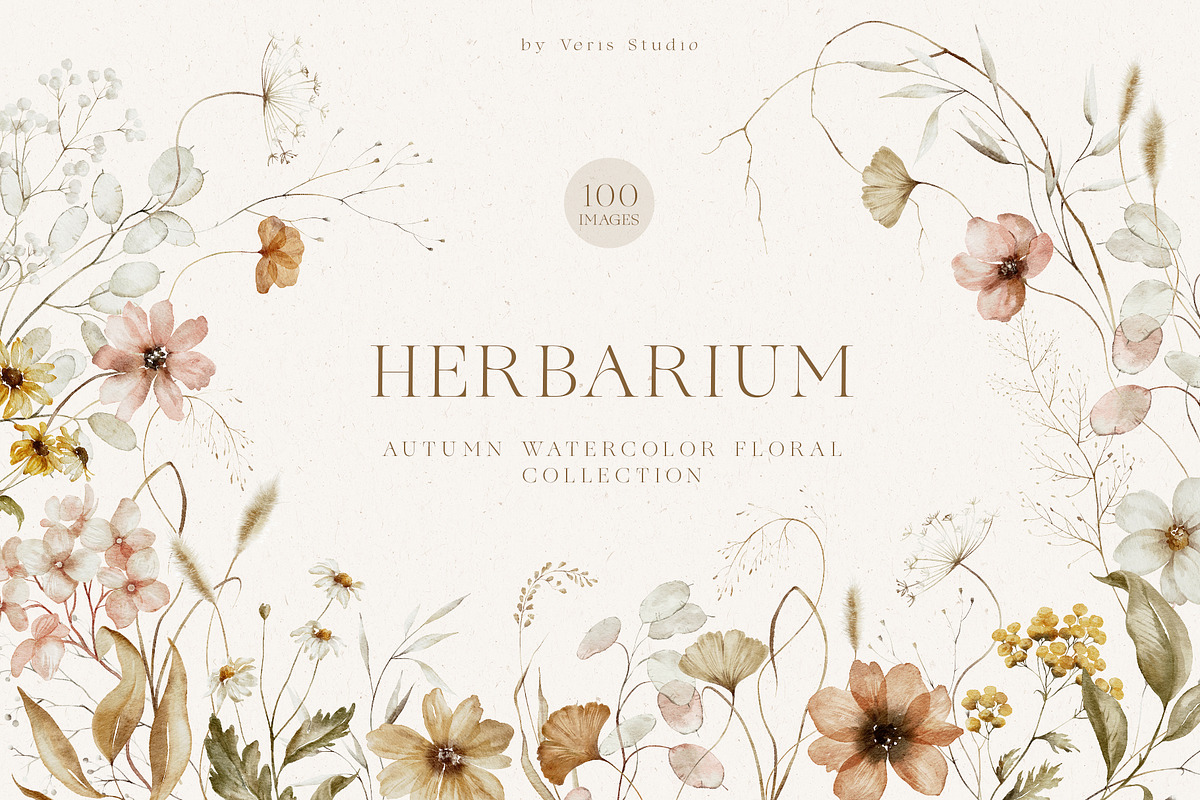 Autumn Wildflower Watercolor Floral, a Decorative Illustration by Veris Studio (Photo 1 of 15)