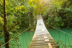Epic Bridge Over Jungle River, a Nature Photo by THP Creative