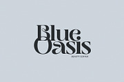 Jemina - Modern Branding Family, a Serif Font by creativemedialab (Thumbnail 14 of 15)
