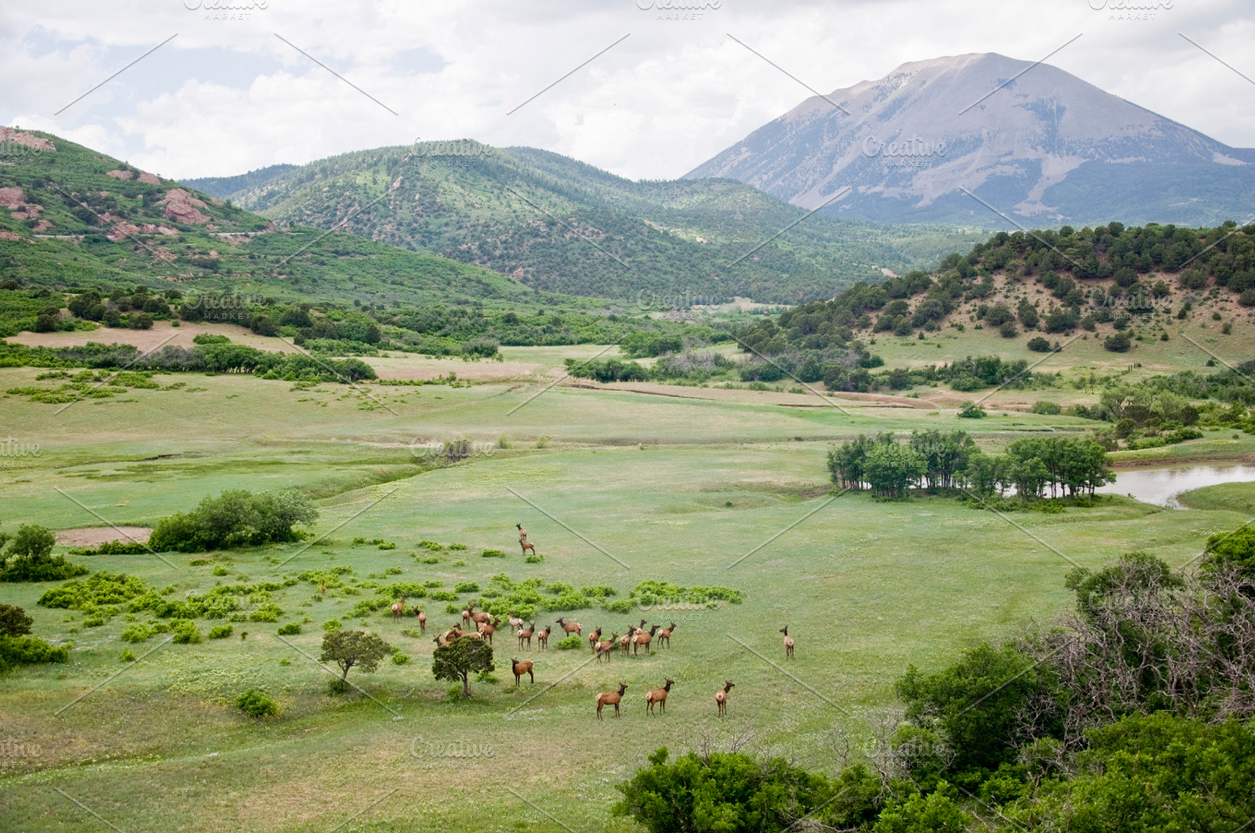 Alamosa Train Ride