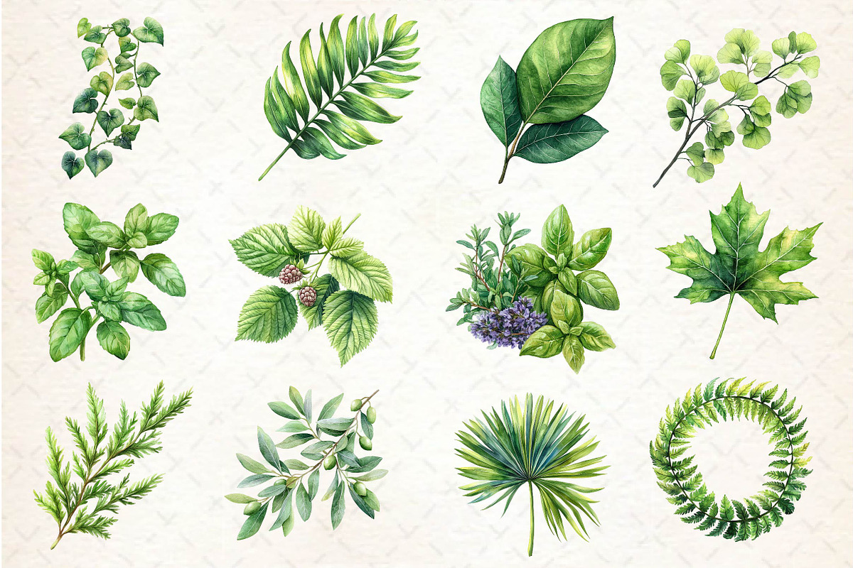 Green Summer Foliage Clipart, an Illustration by Dream Creation (Photo 3 of 4)