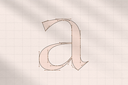 Ginkgo - Modern Classy Serif Font, a Serif Font by Sensatype (Thumbnail 12 of 20)