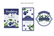 Delicious blueberries. Vector set., a Graphic by natamastery (Thumbnail 5 of 7)