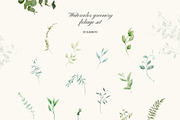 Watercolor Greenery - Foliage Set, a Decorative Illustration by Yuliia Lashevska (Thumbnail 10 of 11)
