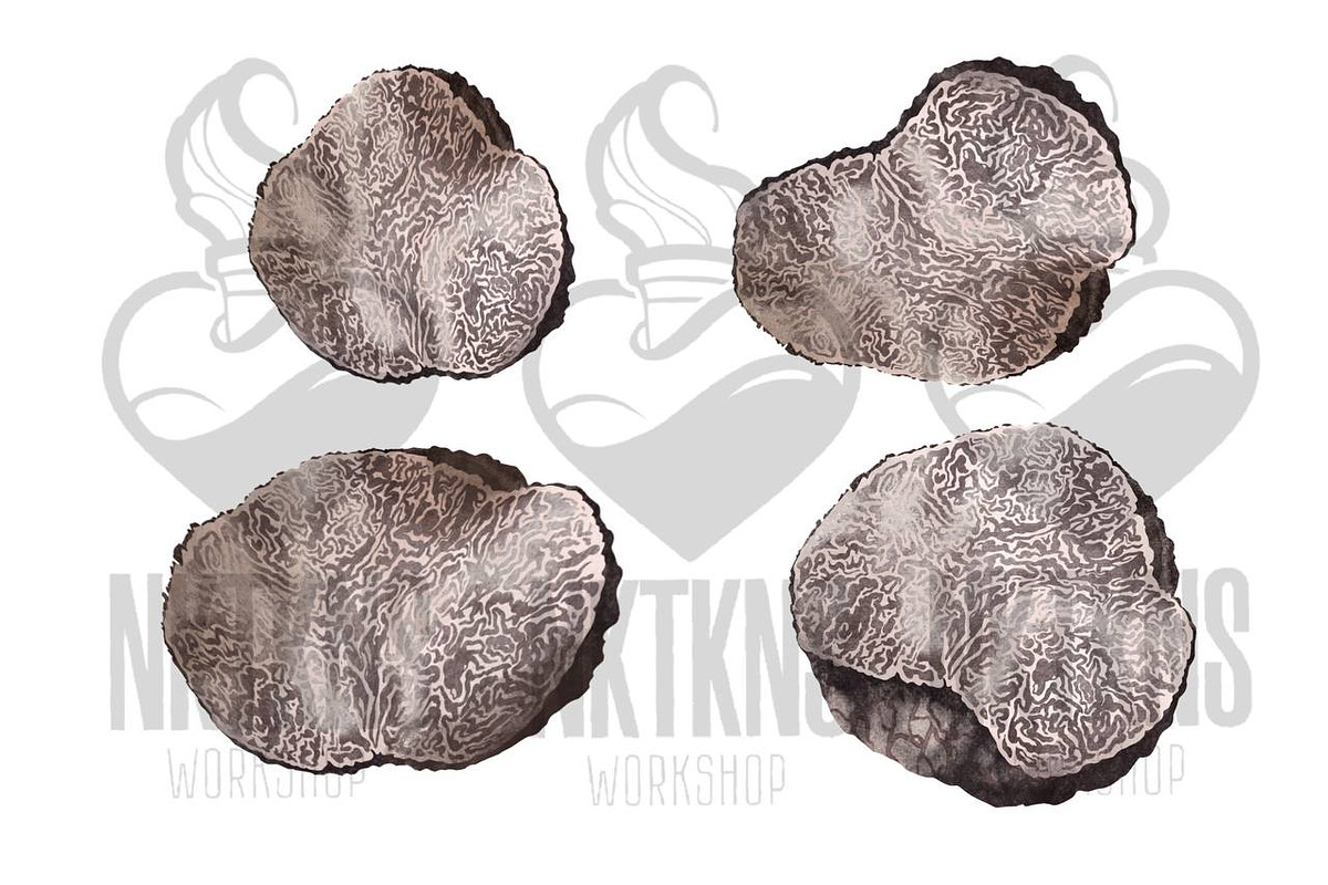 Black Truffle Watercolor Clipart, a Food Illustration by NKTKNS (Photo 2 of 6)