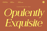 CS Abenia Drawn, a Serif Font by Craft Supply Co. (Thumbnail 3 of 8)