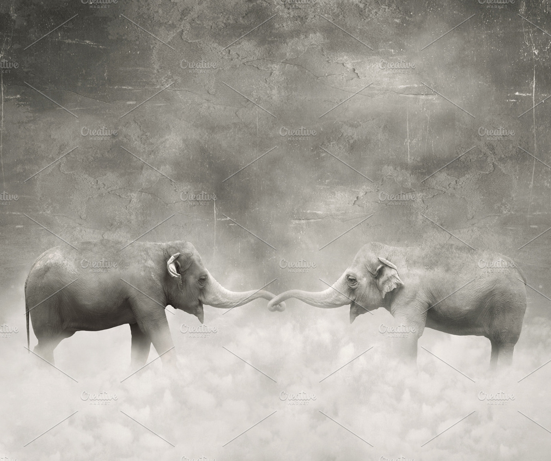 In Love Containing Elephant Mammal And Two